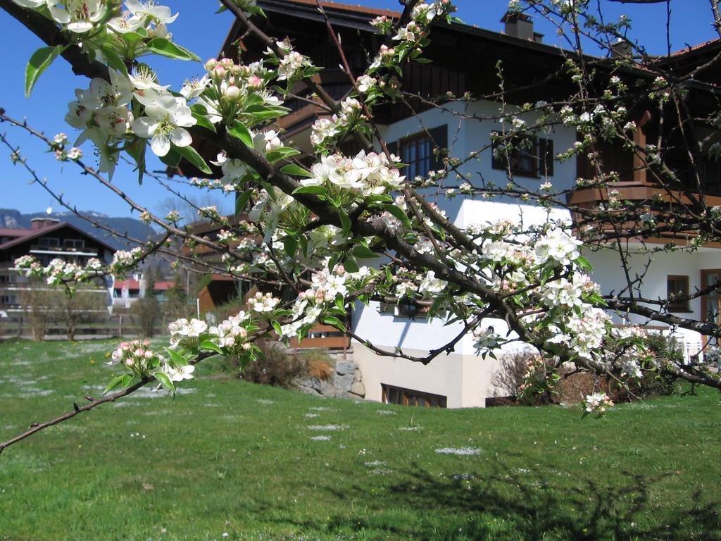 Apartment Haus Am Mühlenweg Oberstdorf